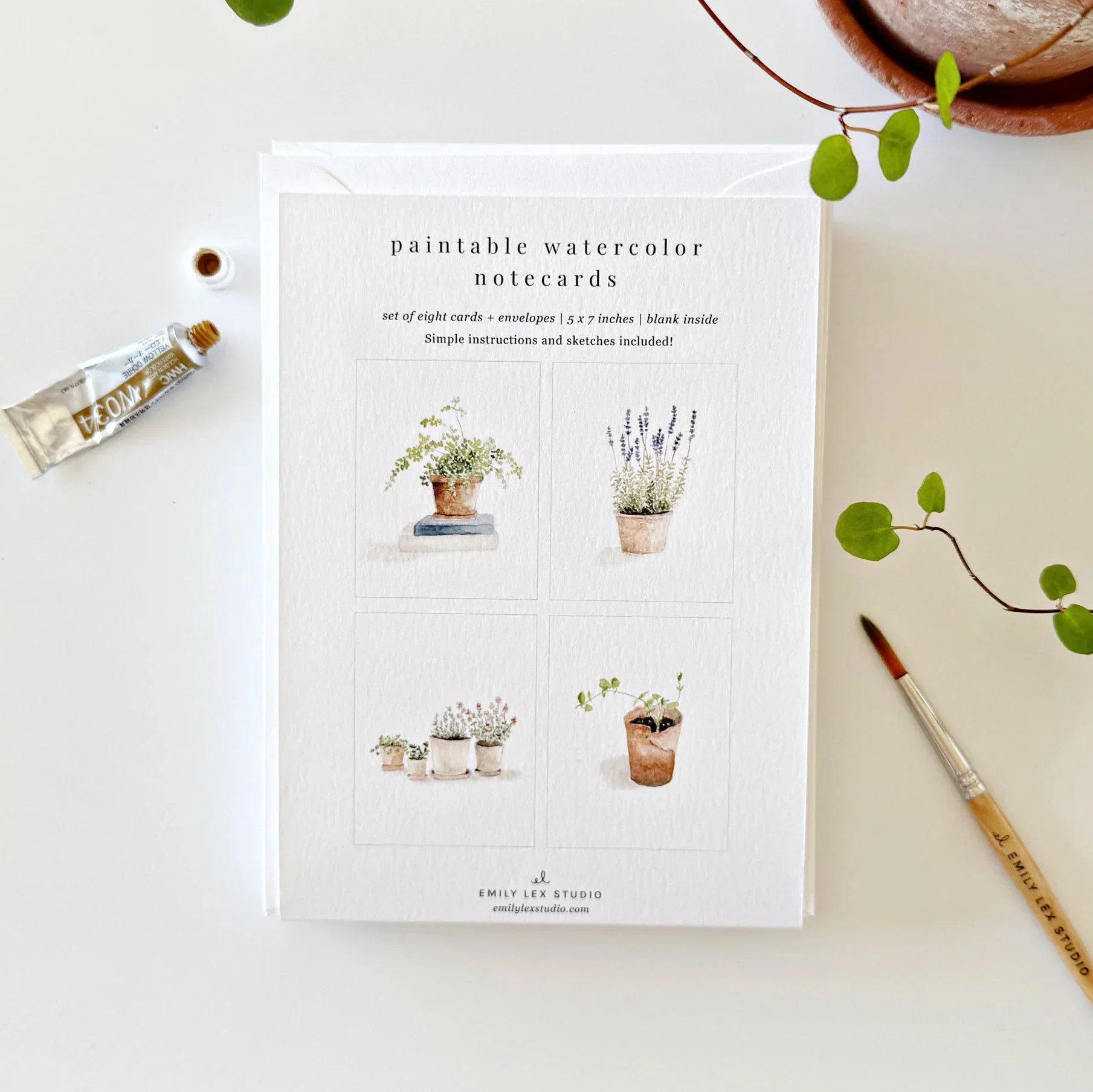 potted plants paintable watercolor notecards | Emily Lex Studio
