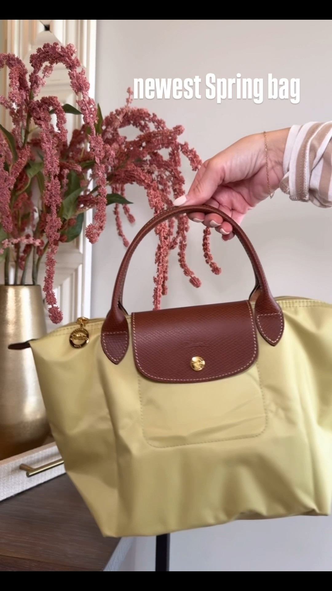 My newest Spring bag. Longchamp top handle bag. Color is pistachio.


#LTKSeasonal #LTKOver40