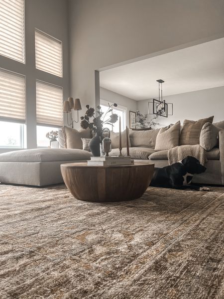 The Mona Bark Sunrise rug from the new Joanna Gaines x Loloi collection is my new favorite✨

Living Room | Area Rug | Coffee Table Decor | Sofa Sectional

#LTKStyleTip #LTKHome