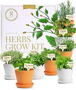 Deluxe Herb Garden Kit – Unique Gardening Gifts for Women - 8 Variety Culinary Herb Garden Kit ... | Amazon (US)