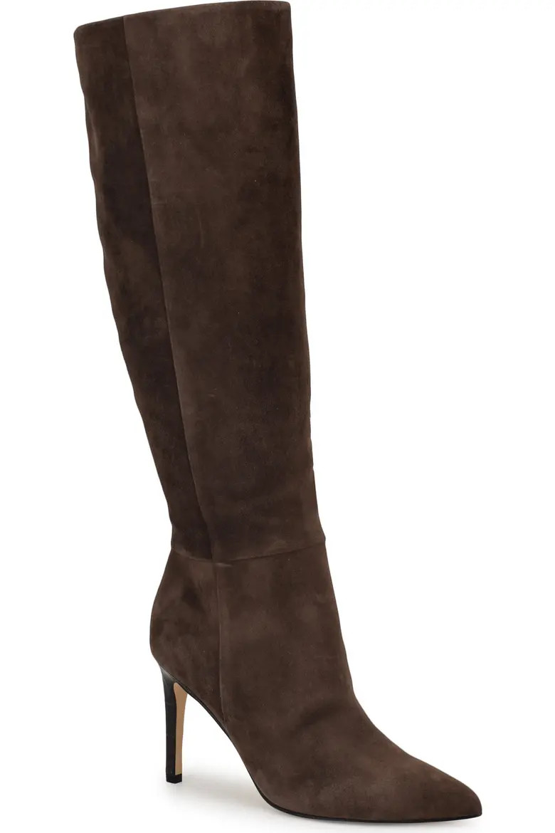 Richy Pointed Toe Knee High Boot (Women) | Nordstrom | Nordstrom