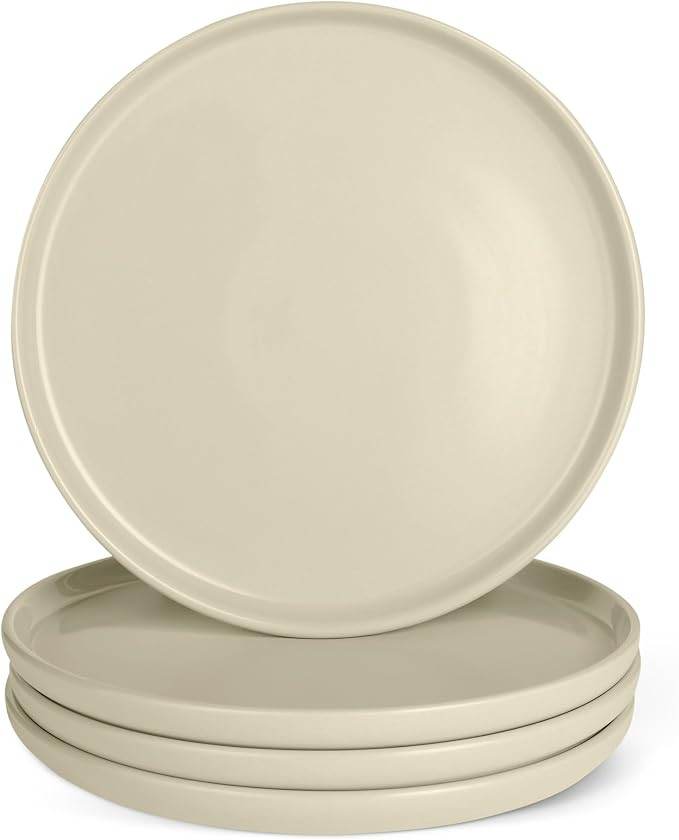 Amazon Basics Glazed Stoneware Dinner Plates, Ceramic 4-Piece Set, Microwave and Dishwasher-Safe,... | Amazon (US)