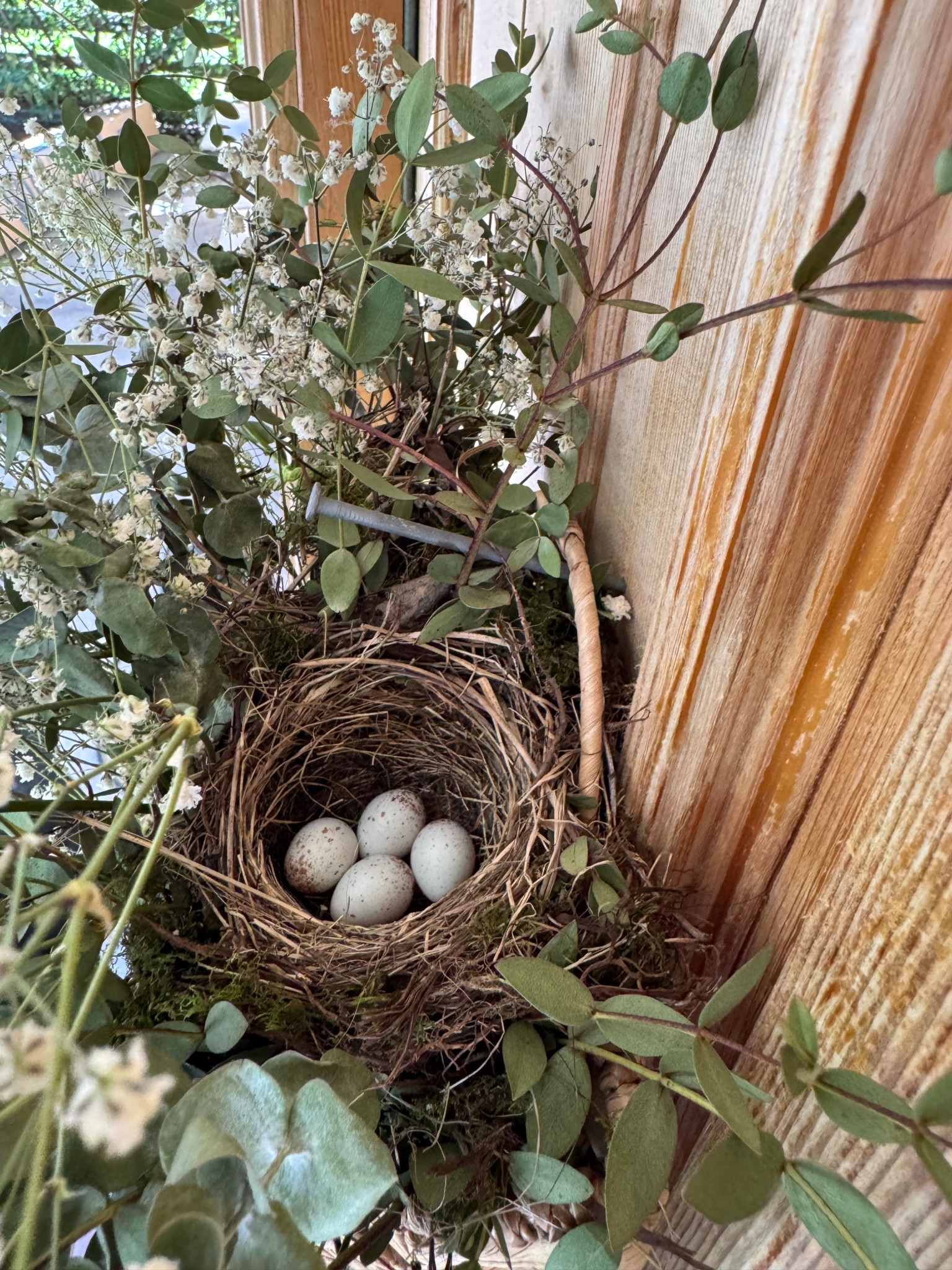 Not me posting this same basket on LTK for the 3rd time this week, I’m just obsessed that a bird has made a nest in it tho!!!! 🥹

#LTKHome #LTKWatchNow #LTKU