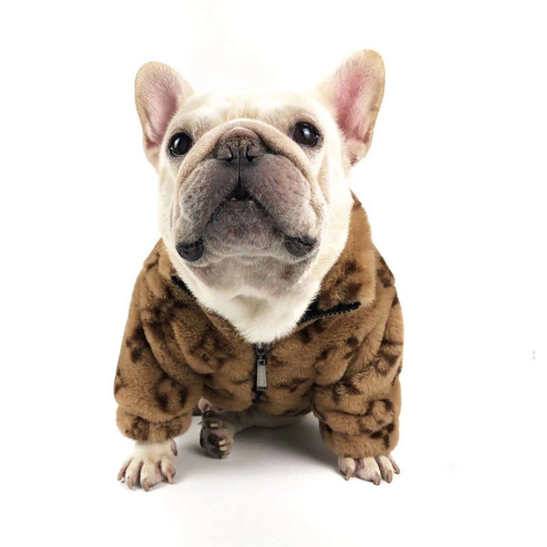 Daisy Dog Fur Coat | Etsy (US)