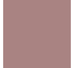 Rust-Oleum 299887-6PK Painter's Touch 2X Ultra Cover Spray Paint, 12 oz, Satin Vintage Blush, 6 Pack | Amazon (US)