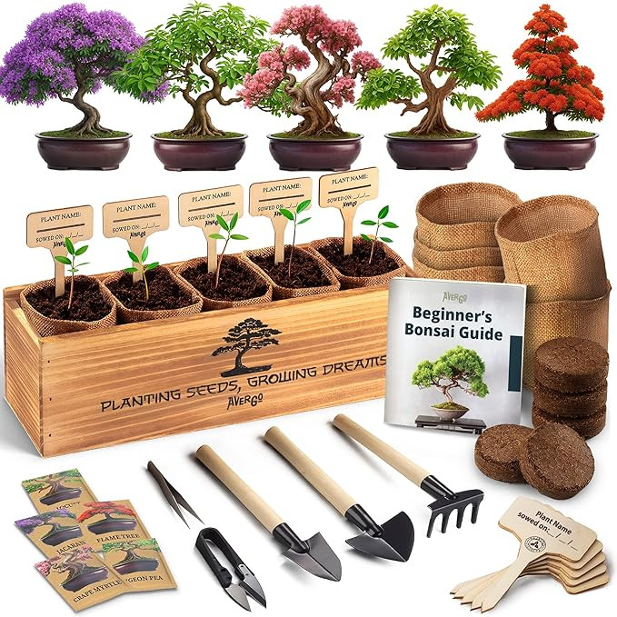 AVERGO Bonsai Tree Kit for Beginners – 5X Unique Japanese Bonzai Trees | Complete Indoor Bonsai... | Amazon (US)