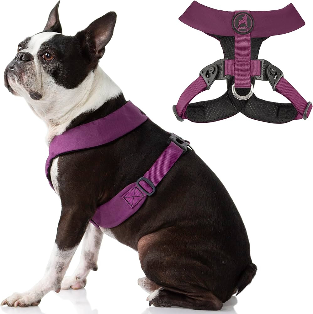 Gooby Comfort X Harness Dual Snap - Purple, X-Large - No Pull Small Dog Harness with Rotational B... | Amazon (US)