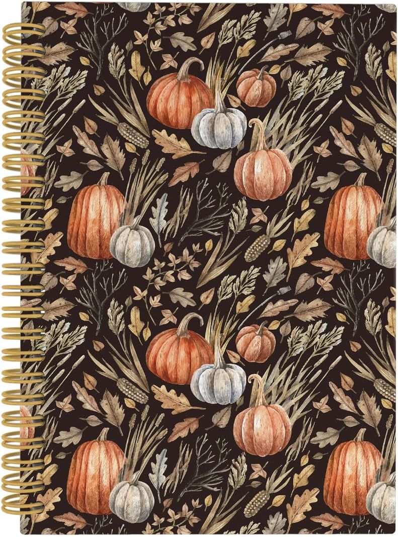 Fall Journal, Pumpkin Spiral Notebook, Fall Decor, Rustic Autumn 5.5"x8.3" 164pages Lined Noteboo... | Amazon (US)