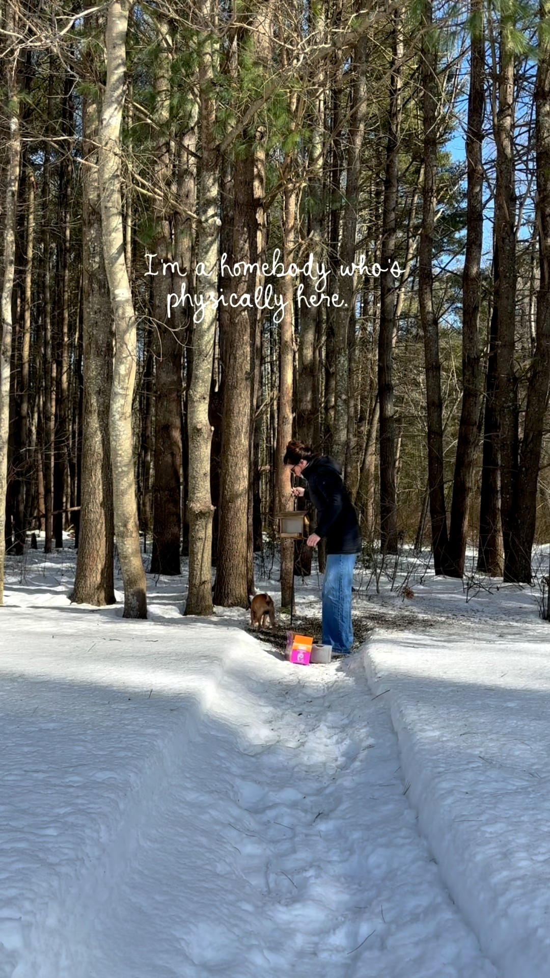 I meant be physically in the middle of winter, but mentally I’m in spring.

#LTKHome #LTKSeasonal