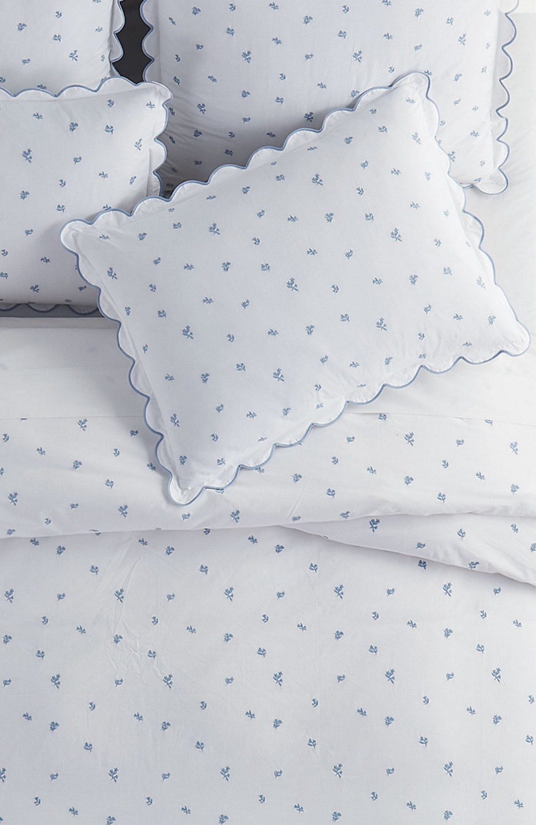 On major clearance, plus free shipping!