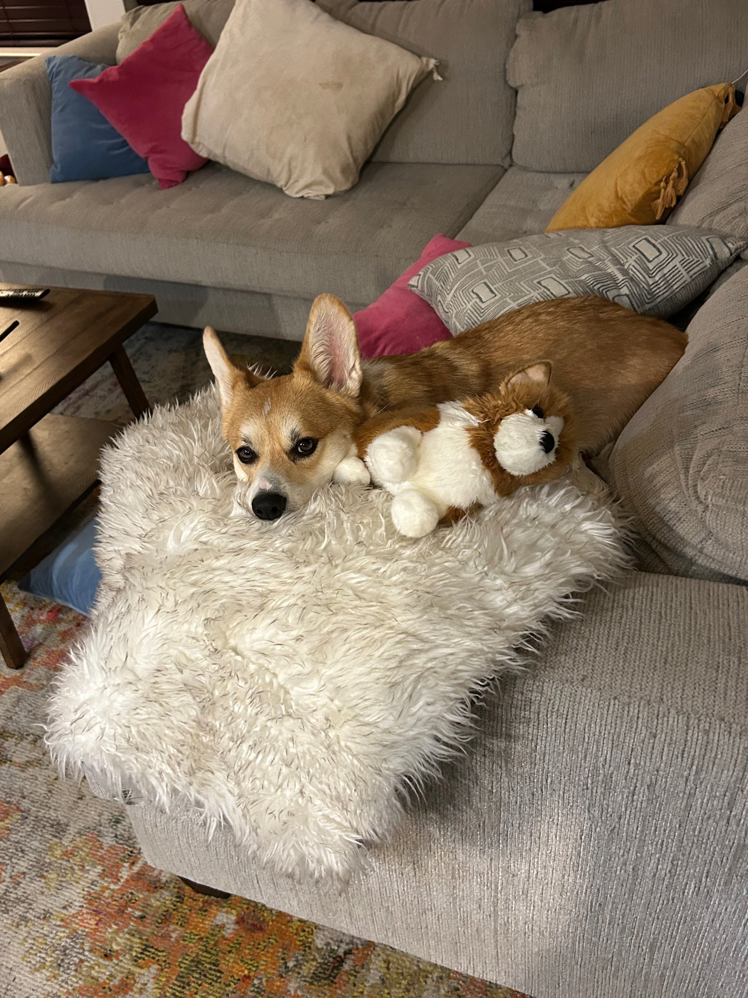 We love snuggle time 🩵

#LTKFindsUnder50 #LTKHome #LTKFindsUnder100