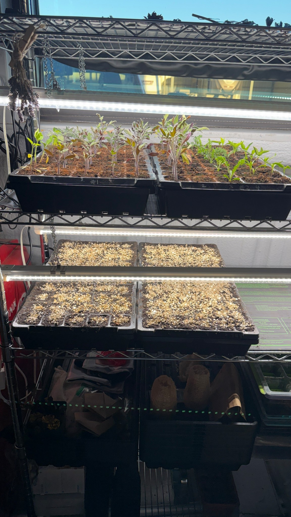 Must Have Seed Starting Supplies