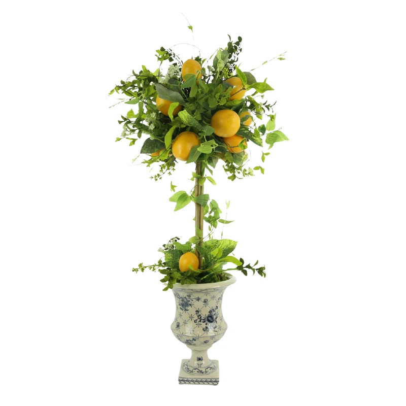 Lemon Plant Topiary | Wayfair North America