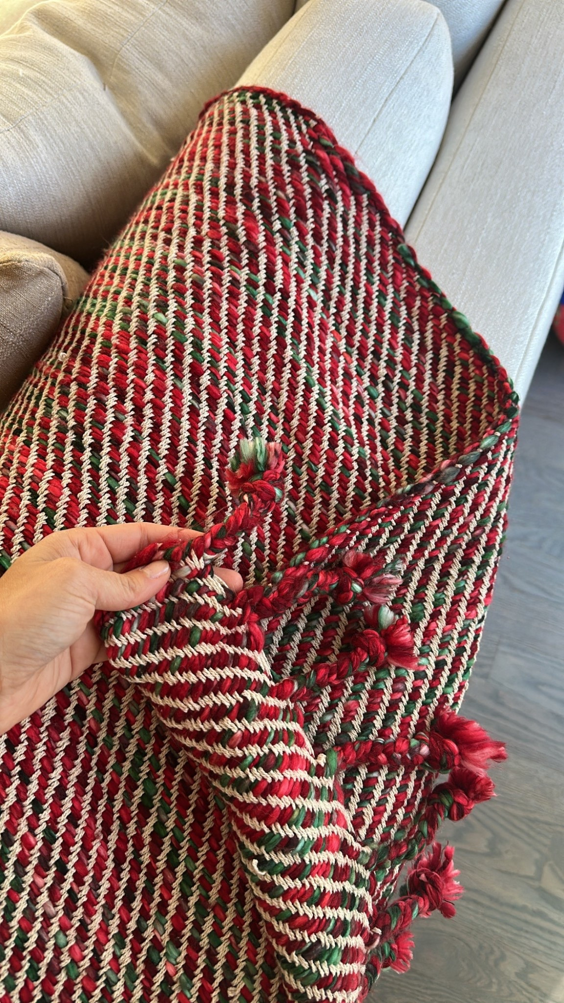 Christmas throw blanket from world market 

#LTKHoliday #LTKGiftGuide #LTKSeasonal