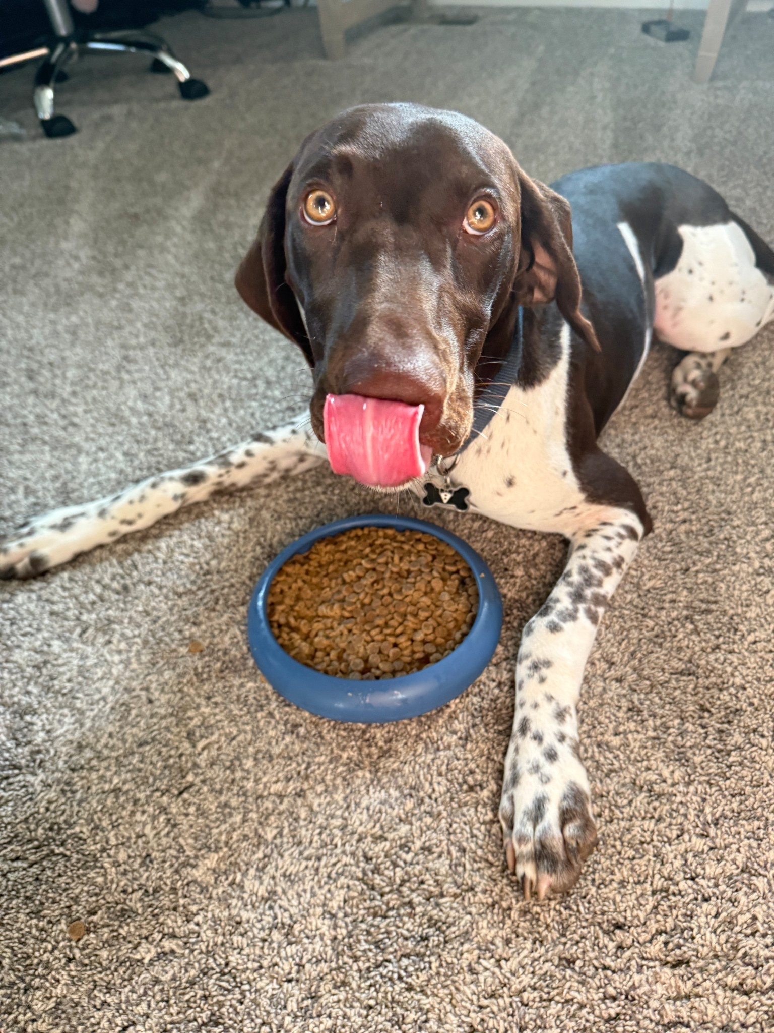 #LTKHome #LTKActive #LTKFamily