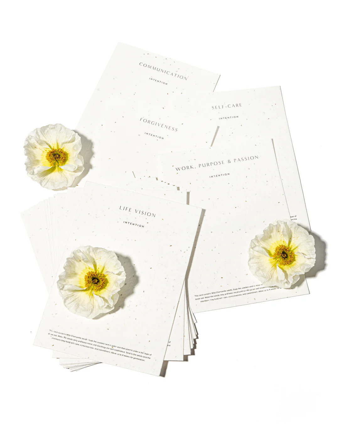 Seeds of Intention™ Journaling Kit | Omala