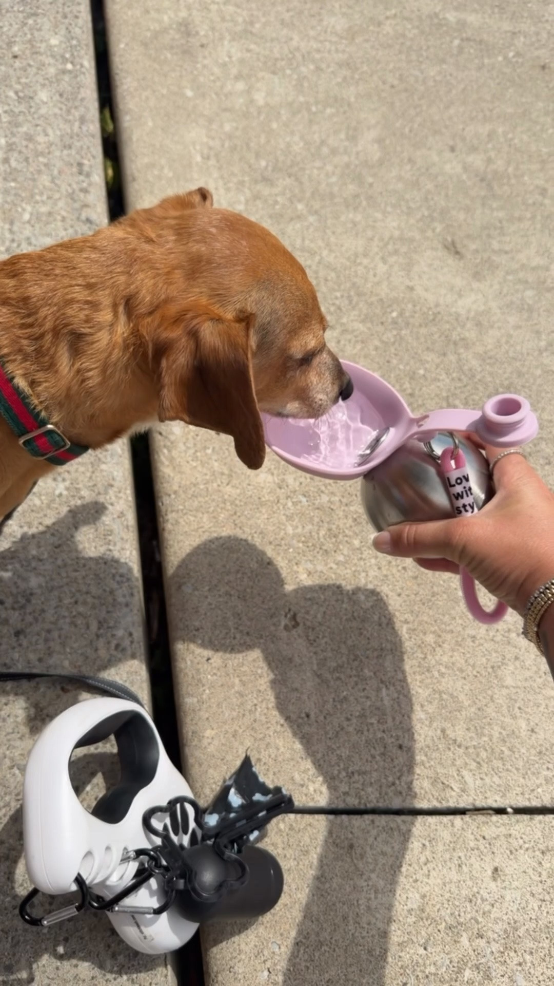 The best bowl for summer! 
Water bowl
Dog mom
Pet finds 
Dog finds 

Ltk pets

#LTKsummer #LTKfamily