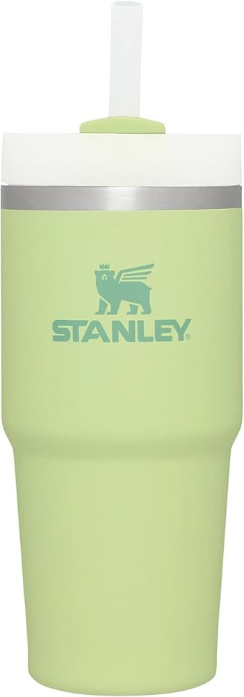 Stanley Quencher H2.0 FlowState Stainless Steel Vacuum Insulated Tumbler with Lid and Straw for Wate | Amazon (US)