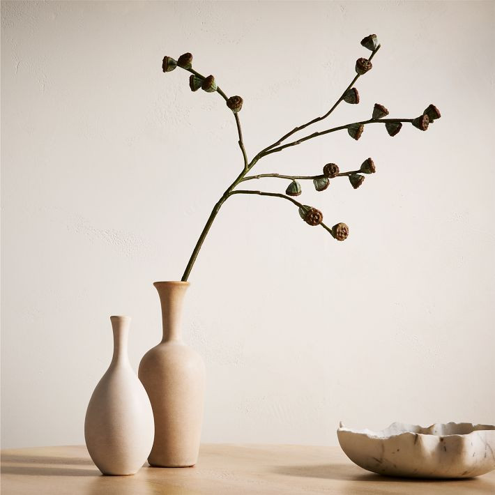 Faux Eucalyptus Pod Branch | West Elm (US)