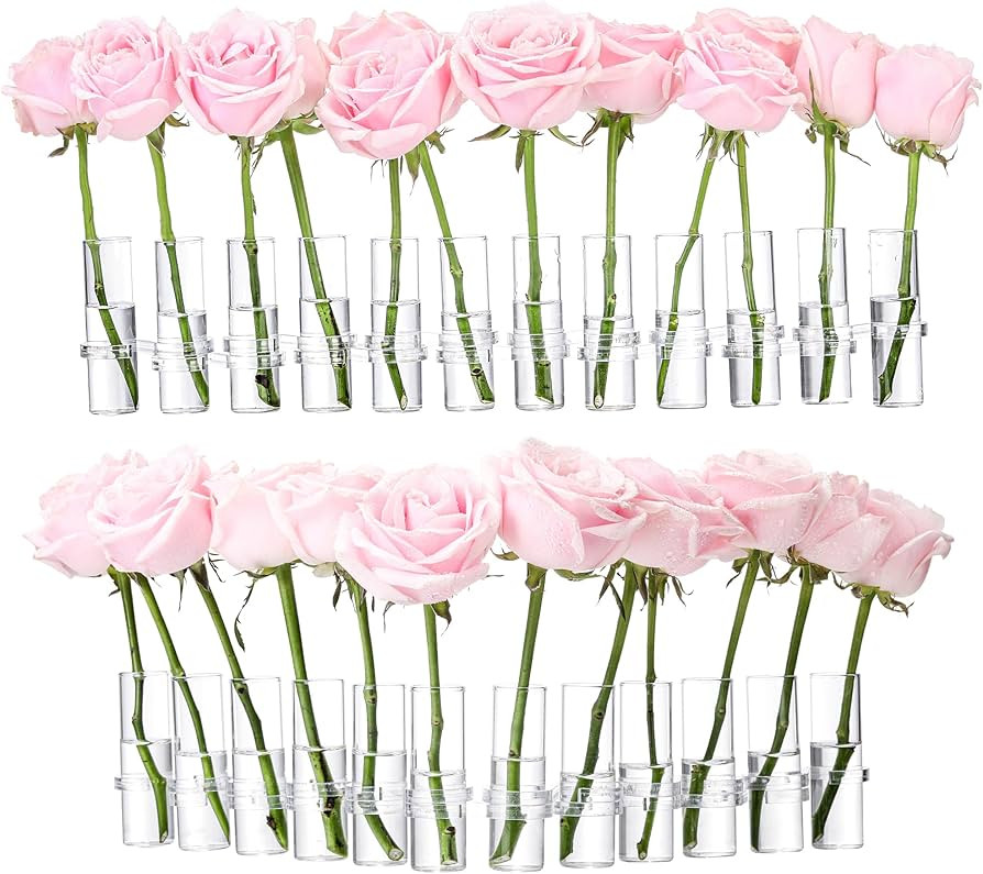 DREARK DIY 24 Test Tube Vases for Flowers, Short Flower Test Tube Vase, Plants from Test Tubes, U... | Amazon (UK)