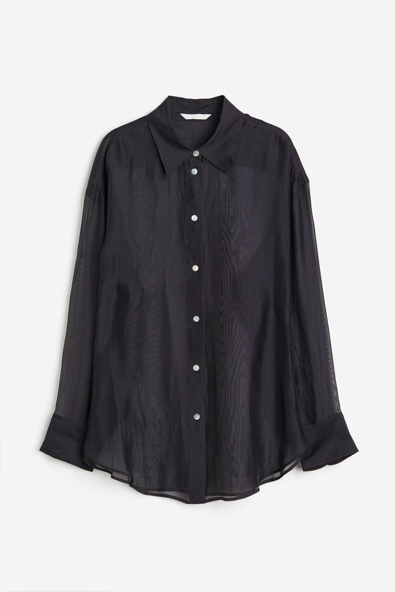 Sheer Blouse | H&M (US + CA)