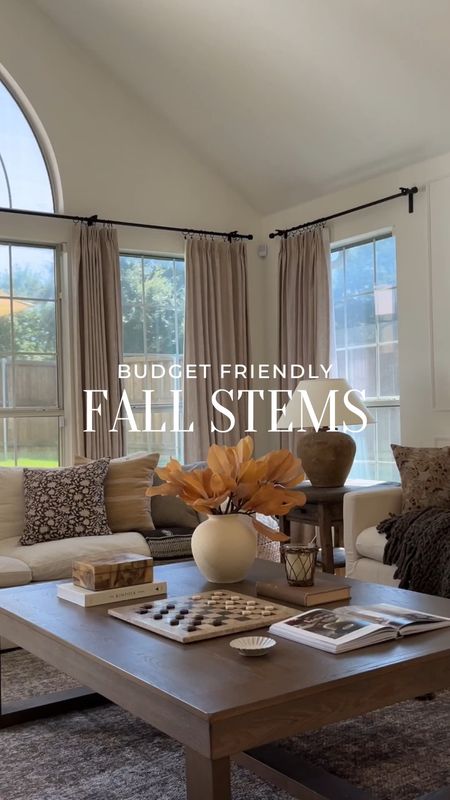 Budget friendly fall stems you need! 

Fall decor / faux stems / floral / at home finds / home decor finds / fall inspo 

#LTKSeasonal #LTKhome #LTKunder50