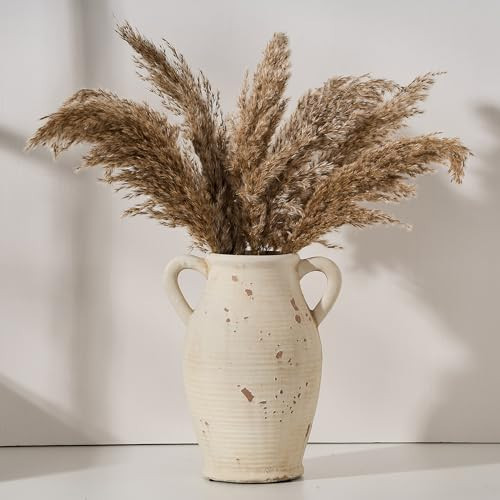 Vaseking Large Ceramic Rustic Vase with 2 Handles, 9.8 inch Farmhouse Distressed Flower Vase for Home Decor, Living Room, Shelf Decor, Pampas Grass, Enterway, Table Decoration, Gift, White | Amazon (US)