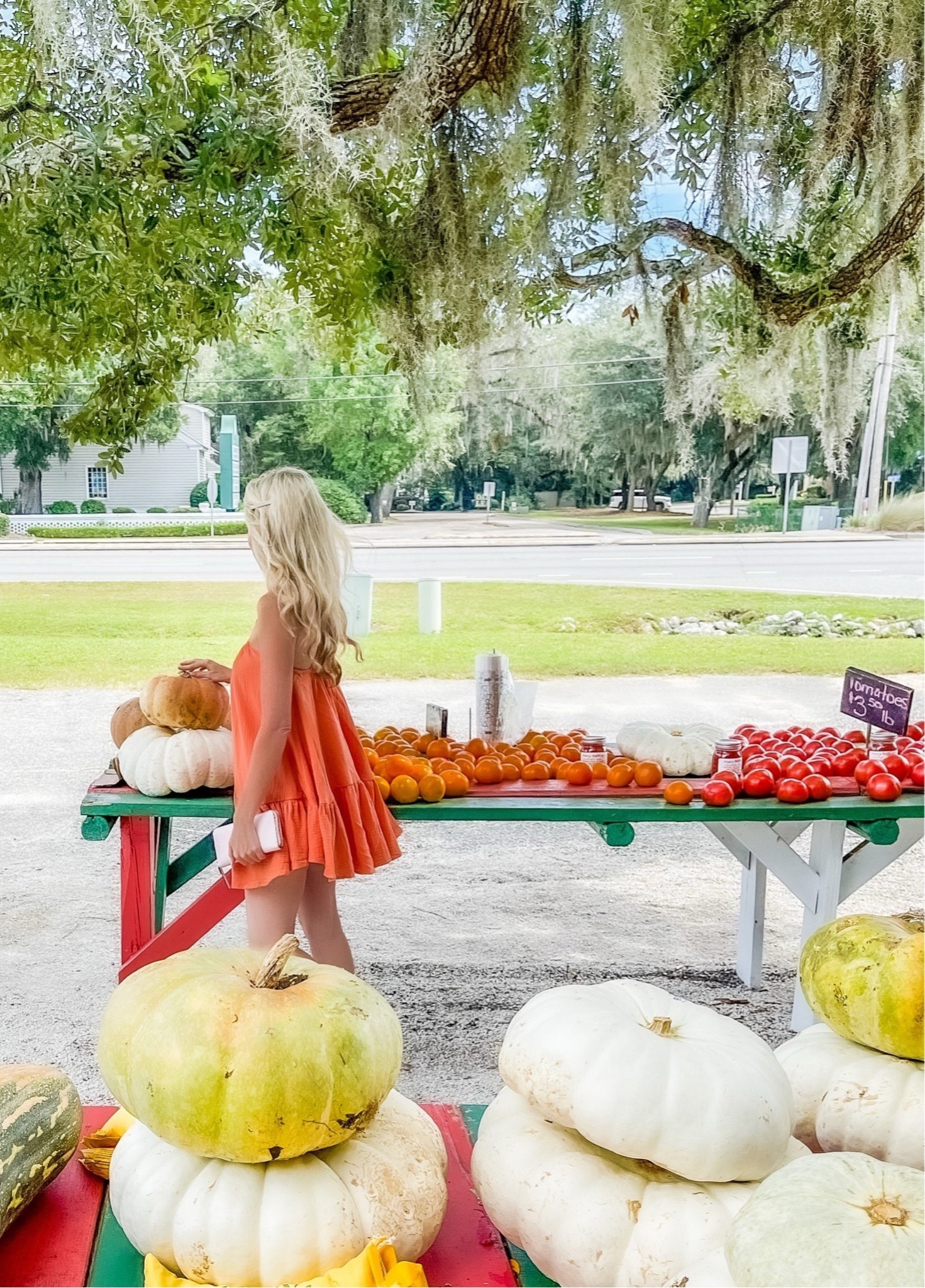 Fall Outfit🍁
Cute transitional pieces for early fall! Pair dresses with cardigans and boots for a casual autumn look.
Fall Dress
Autumn Pieces


#LTKTravel #LTKSeasonal #LTKPetite