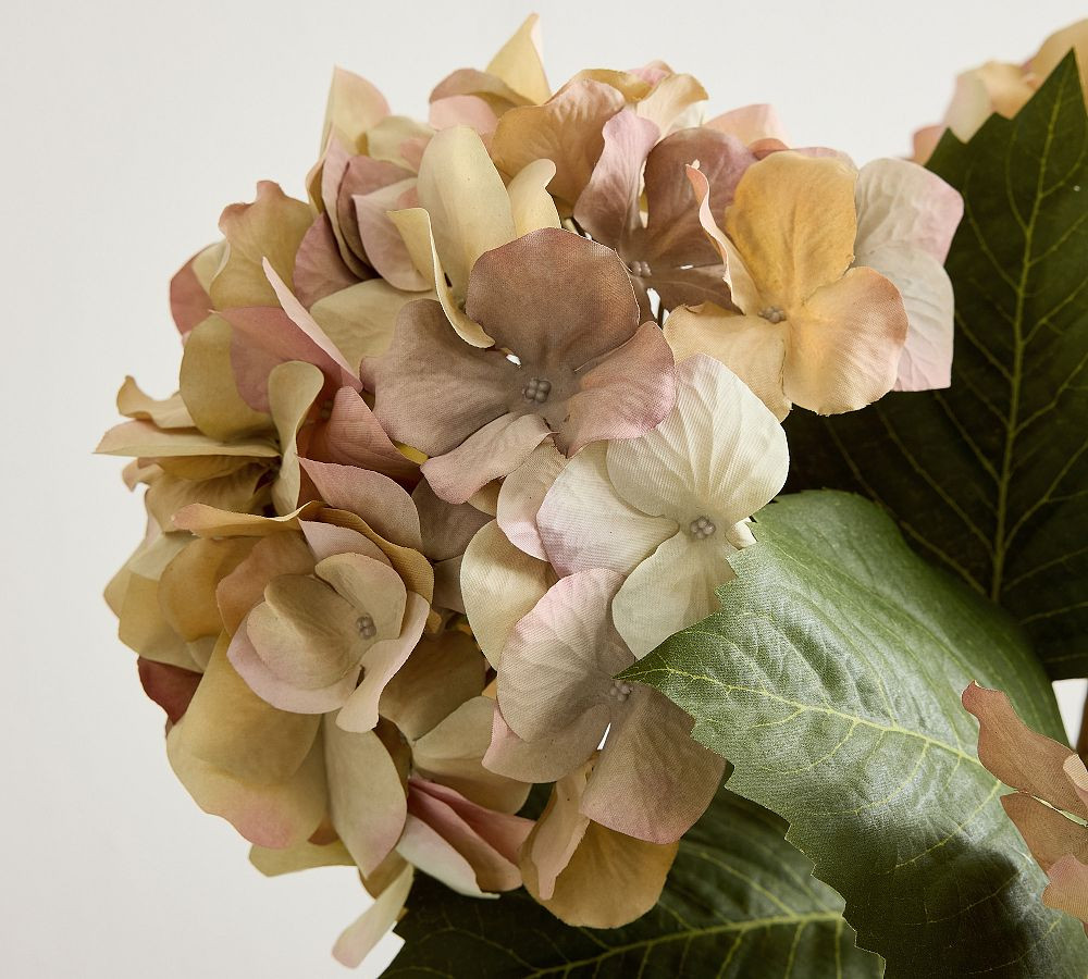 Faux Dried Hydrangea Bundle | Pottery Barn (US)