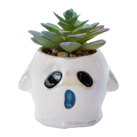Ghost Faux Succulent | Five Below