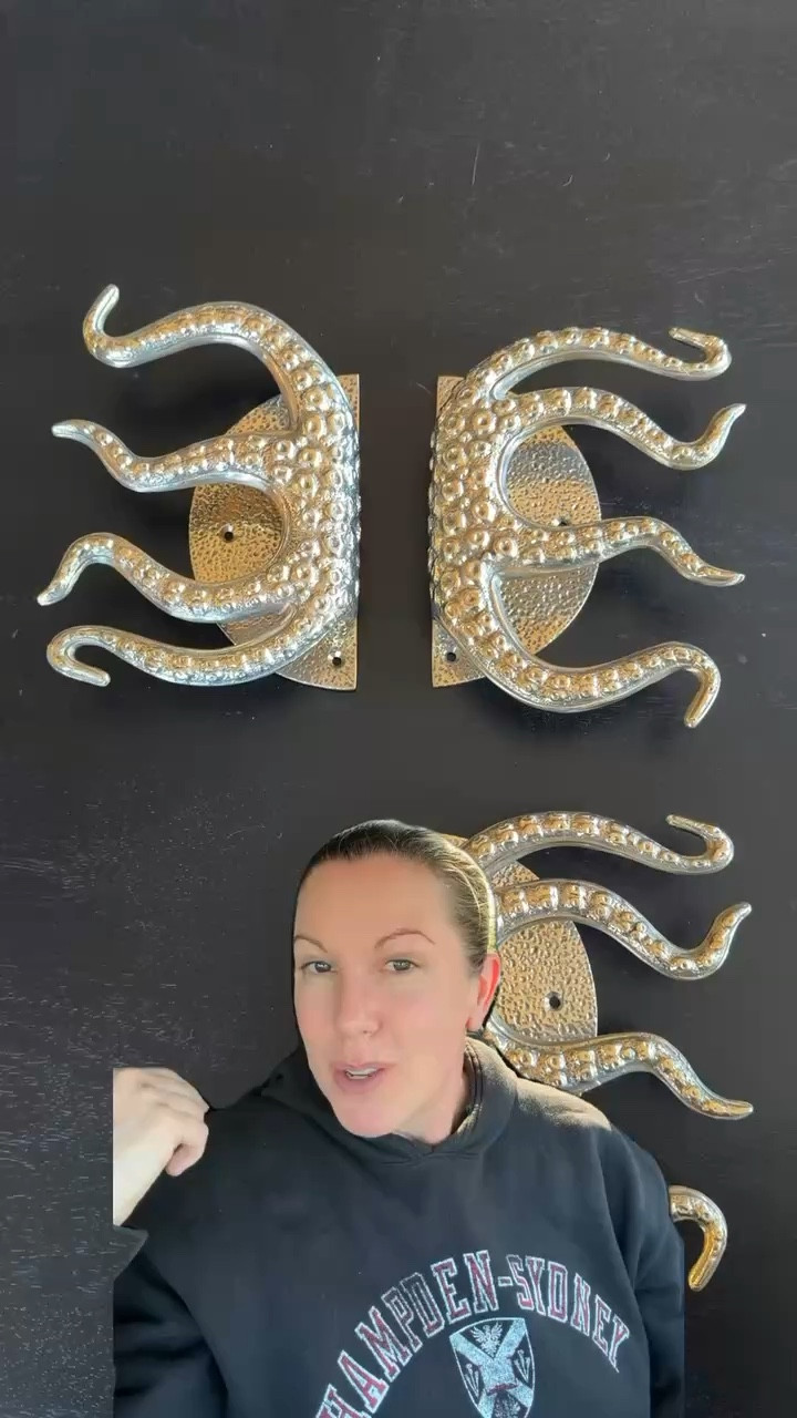 A gold tentacle door handle that turns a simple entry into something unforgettable. Sculptural, a little mysterious, and full of personality, it adds an unexpected touch of drama and whimsy. 

#StatementHardware #GoldDetails #UniqueDecor #WhimsicalHome #MoodyInteriors #DesignDetails #HomeDecor #callsigndesign