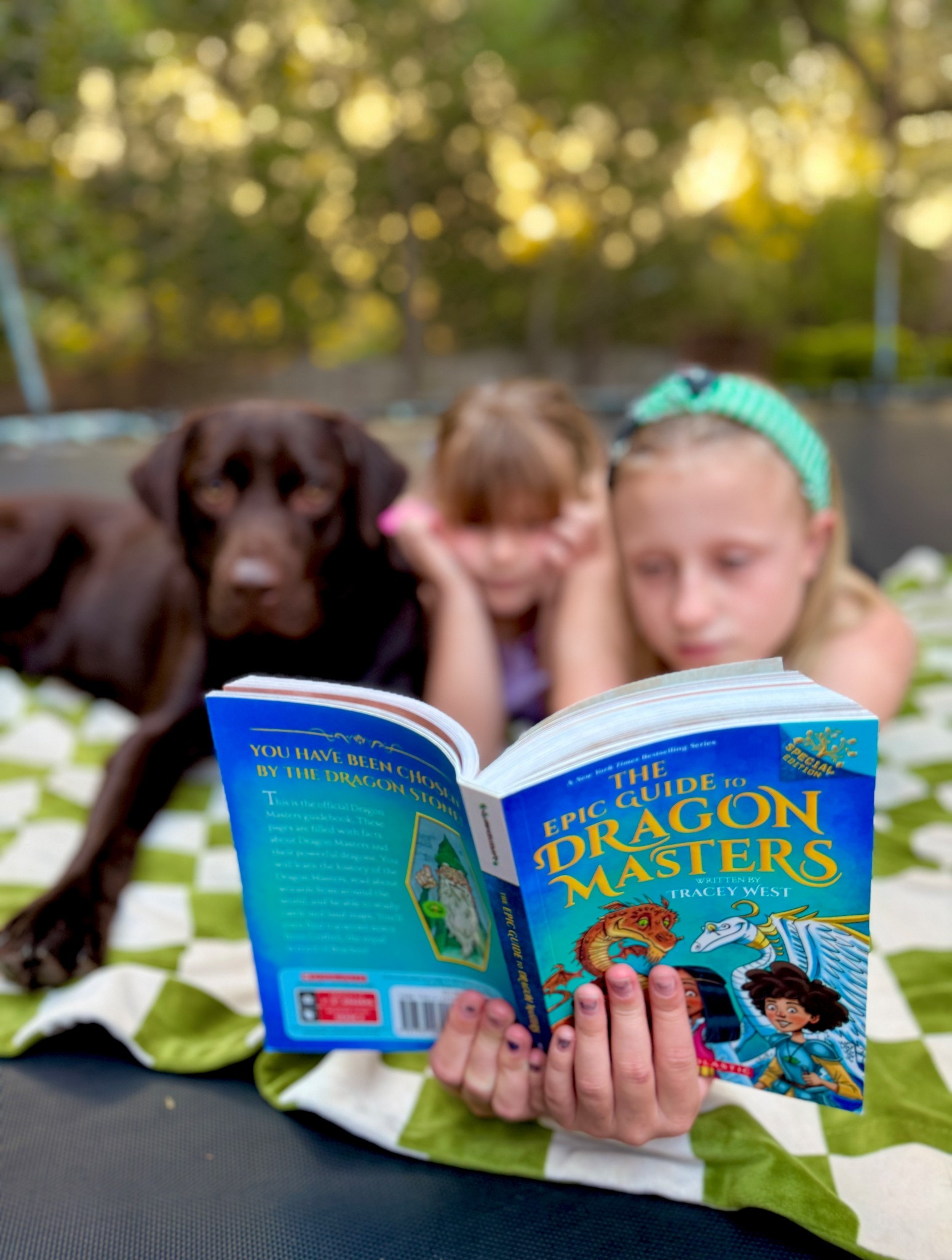 Dragon Masters kids’ chapter book series is a fun one for young readers! 

#LTKstorytime #LTKKids