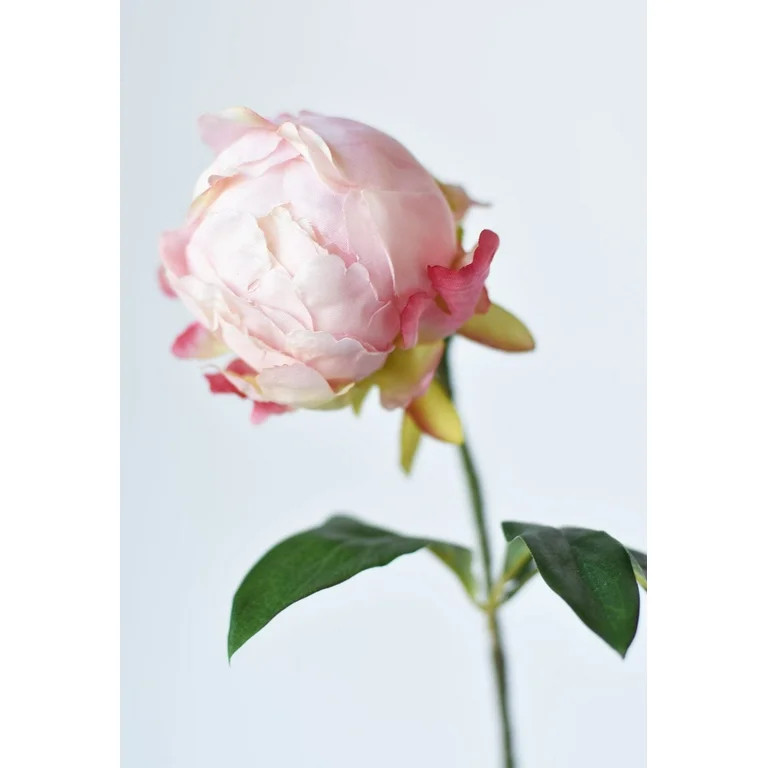 Allstate Floral & Craft FSP701-PK 18 in. Silk Peony Bud Flower Spray - Pink | Walmart (US)