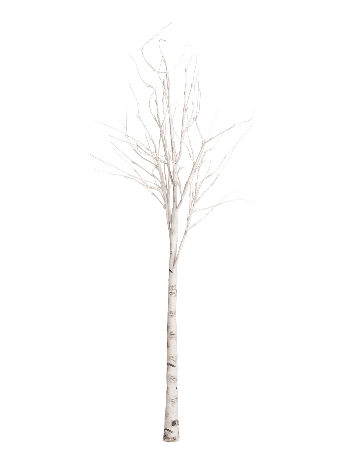 6ft Led Birch Tree On Wooden Base | TJ Maxx