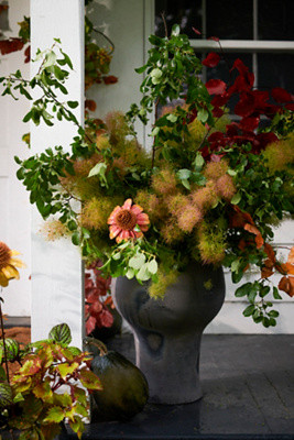 Otto Curved Urn Planter | Anthropologie (US)