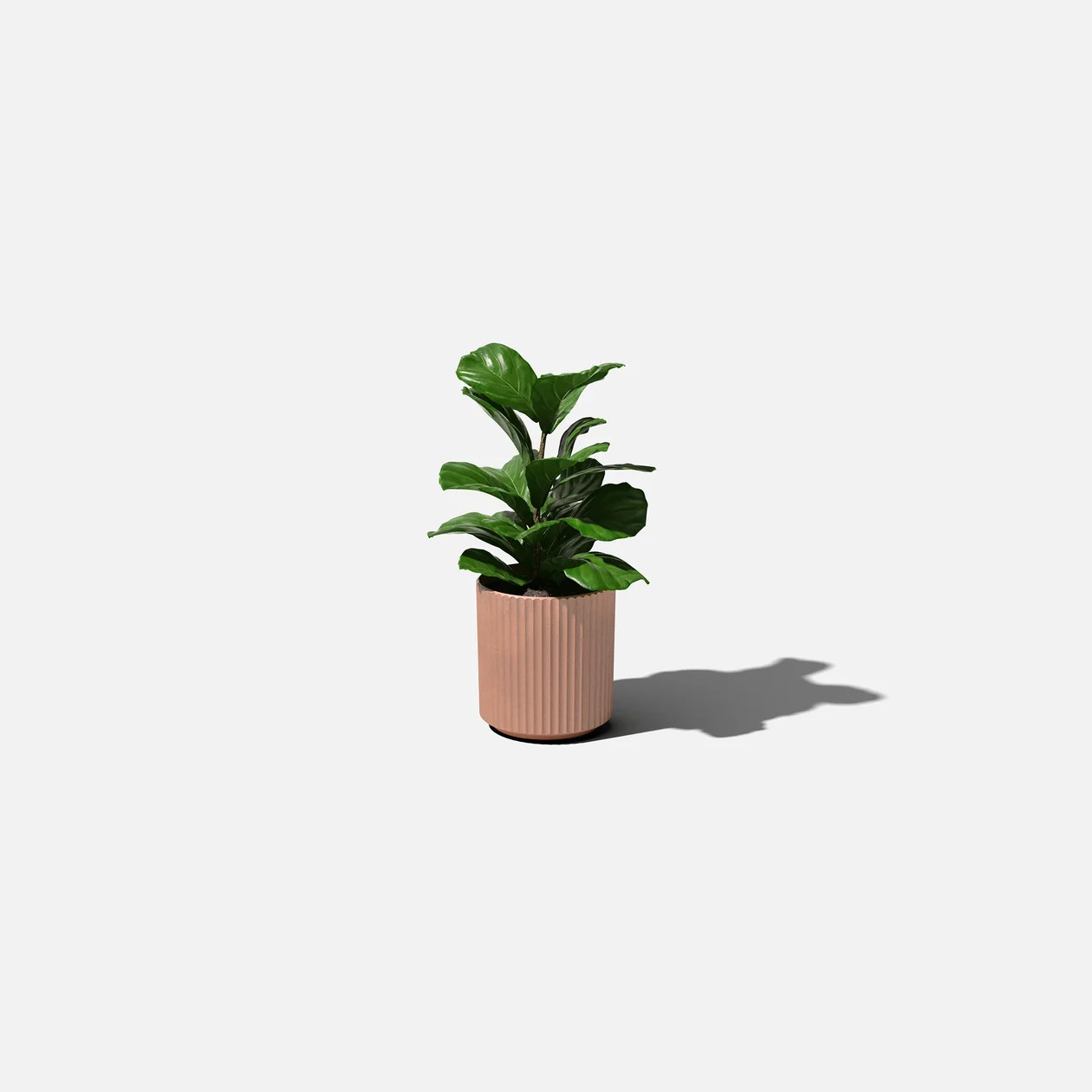 demi planter | Veradek