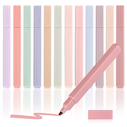 LABUK 12pcs Highlighters Aesthetic Pastel Cute Highlighter, Bible Highlighters and Pens No Bleed,... | Amazon (US)
