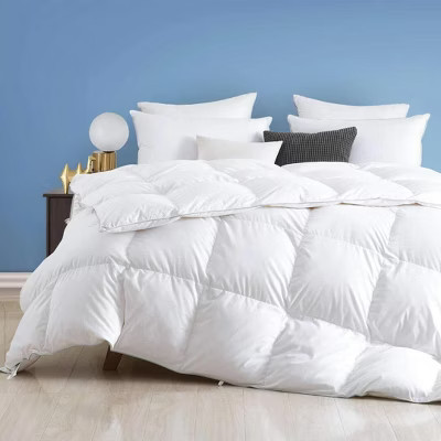 APSMILE Luxurious Down Feather Fibers Comforter Ultra-Soft Oversized King Size Duvet Insert, Light Warmth Duvet for Warm Weather (120x98, White) | Target