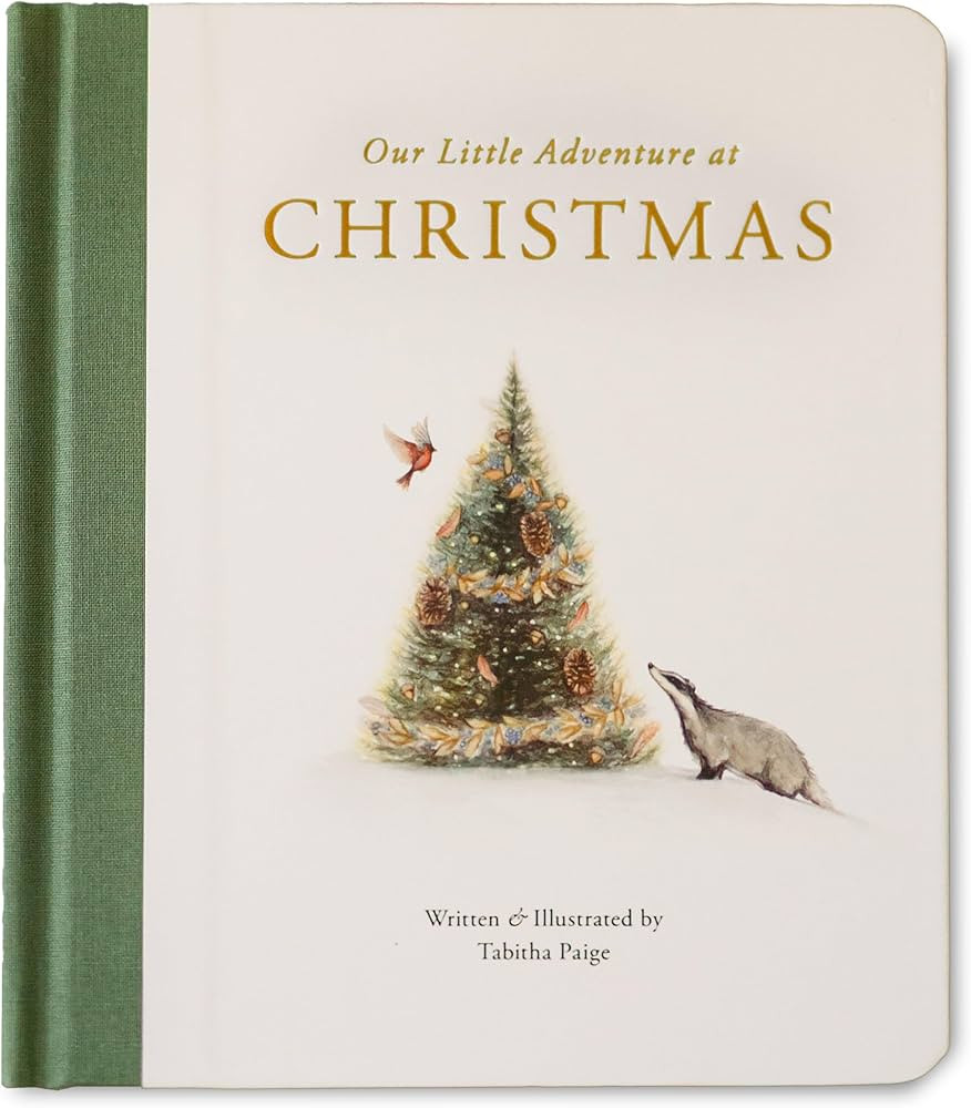 Our Little Adventure at Christmas: Featuring Foundational Language Concepts and Lessons on the Jo... | Amazon (US)