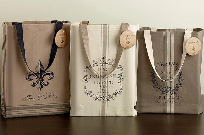DII Printed Shopping Canvas Bags, Set of 3, French Print (CAMZ34792) | Amazon (US)