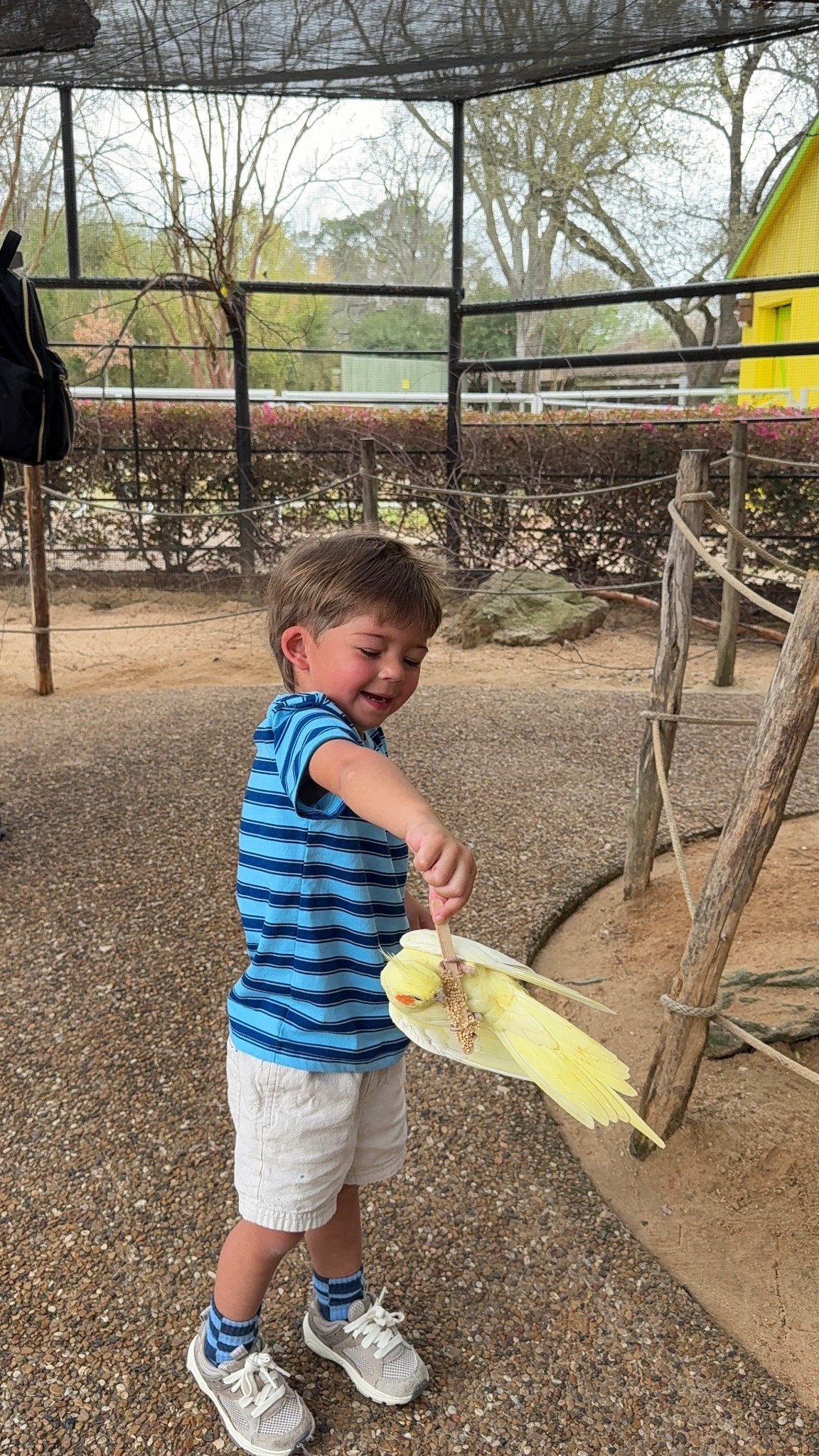 Been loving blue lately💙 #LTKtoddler #LTKspringootd #toddlerootd 
