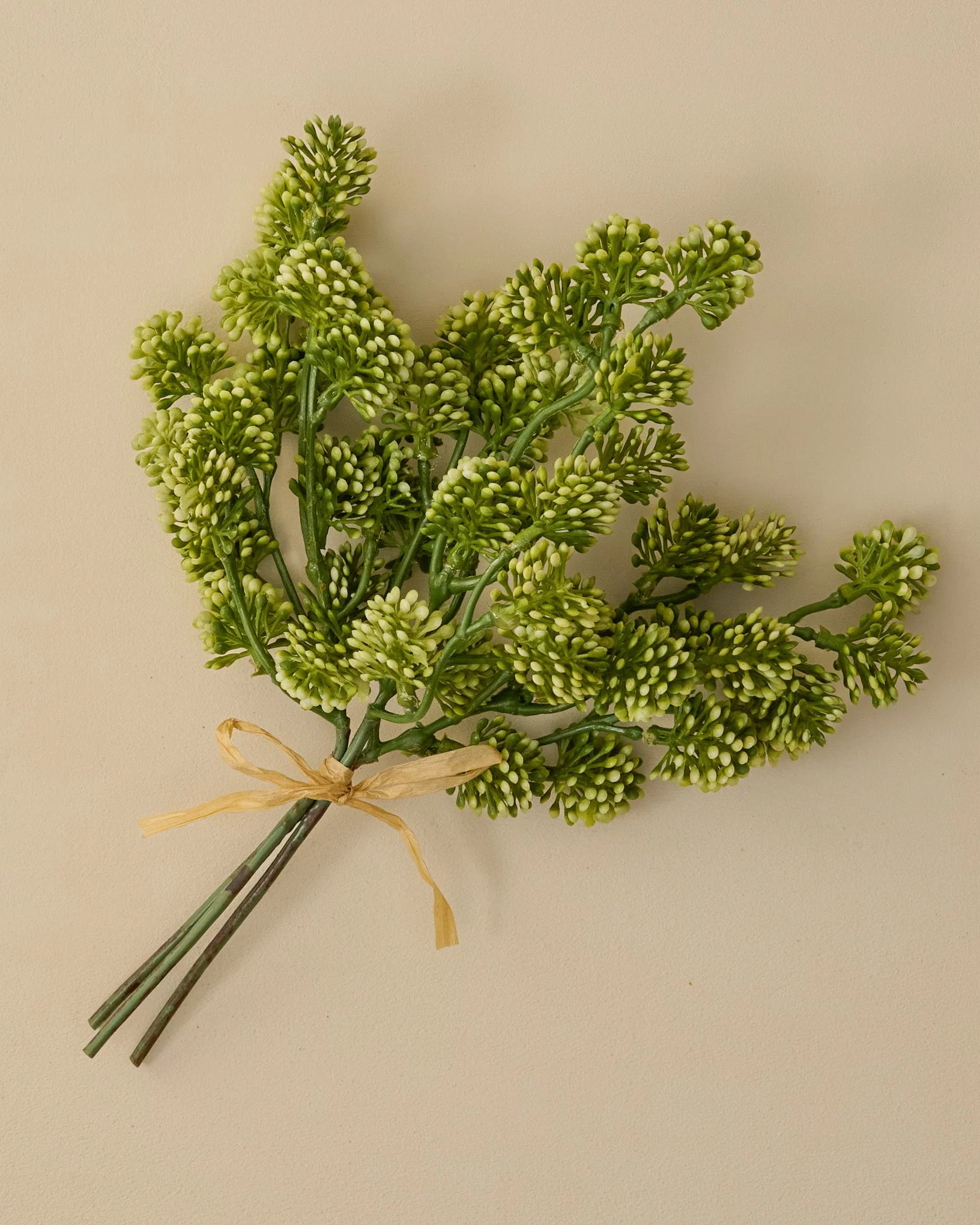 Sedum Bundle | Magnolia