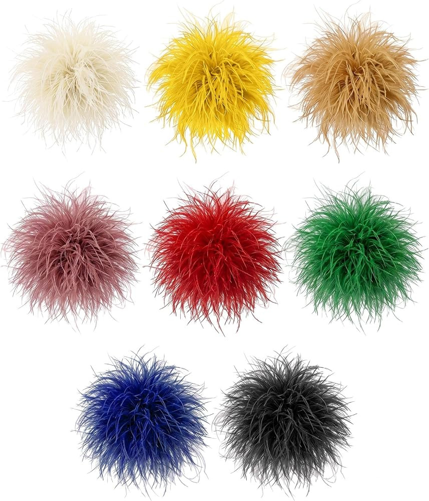 8 Pcs Dainty Feather Flower Brooch Pins for Women Men, Elegant Large Feather Floral Lapel Pin, Sh... | Amazon (US)