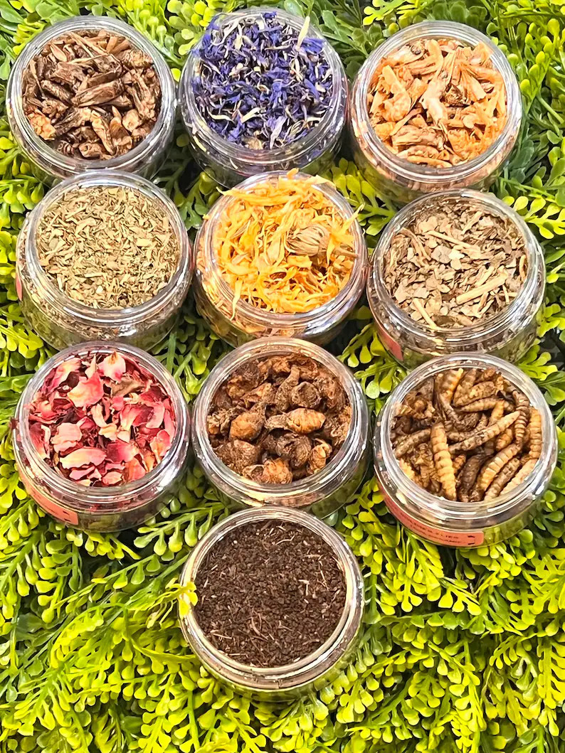 Hermit Crab Foraging Gourmet Kit, Organic Garden Grown, Vitamin Rich Snacks | Etsy (Global)