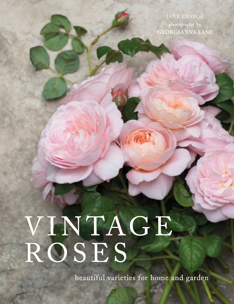 Vintage Roses: Beautiful Varieties for Home and Garden | Amazon (CA)