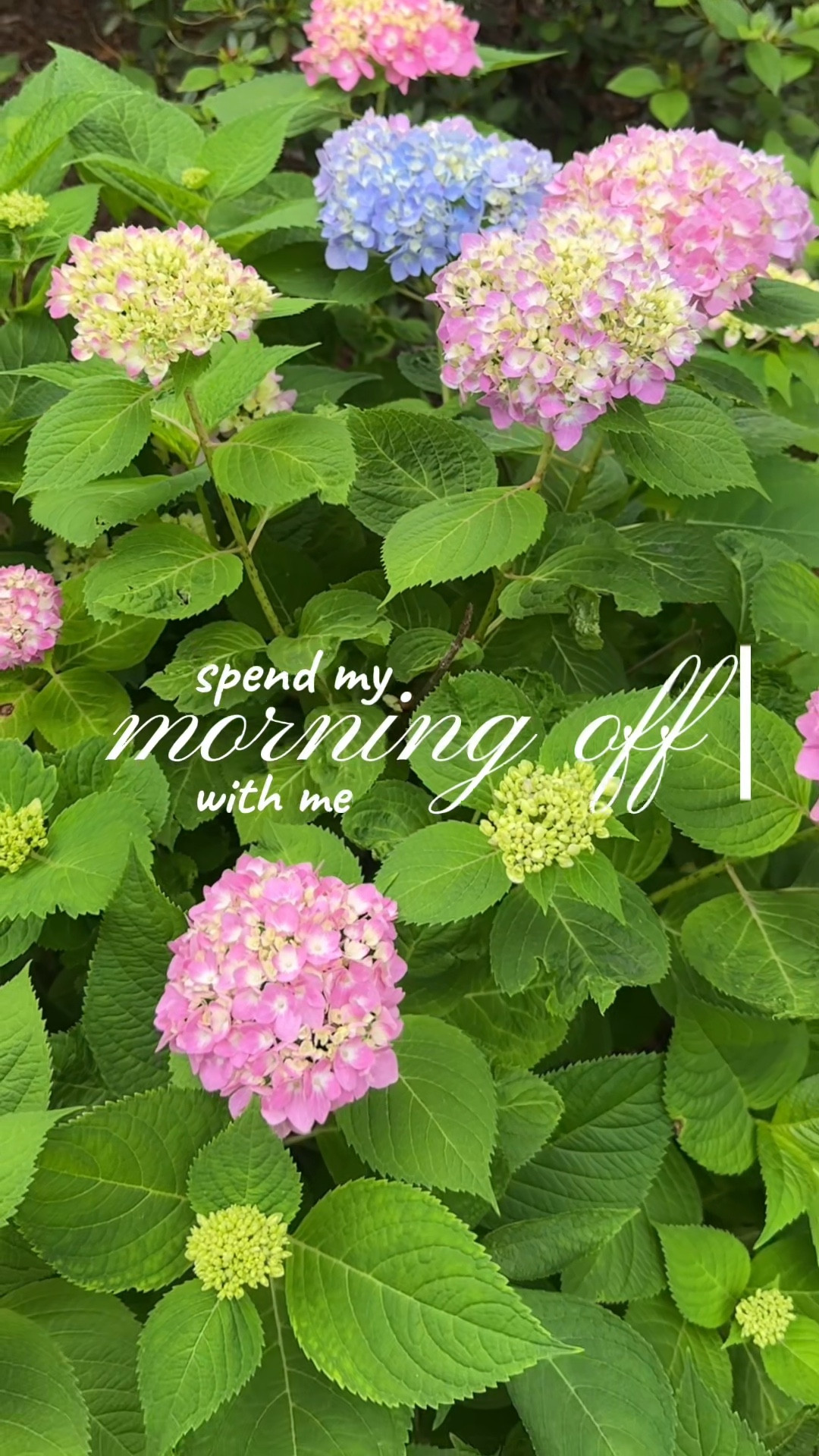 spend the morning with me 💘

#watchnow 

#LTKFindsUnder50 #LTKStyleTip #LTKSeasonal