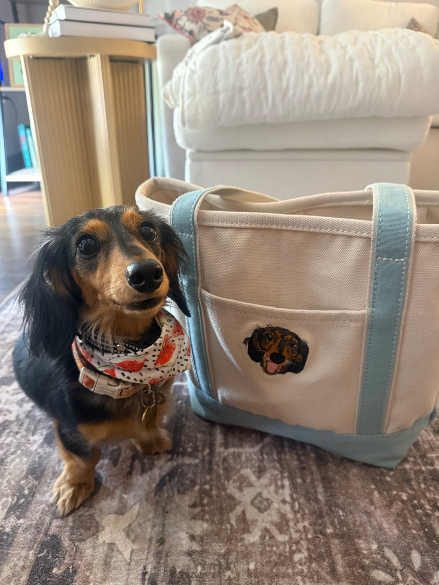 Just a little obsessed with this embroidered Lands End bag with my dog on it! I mean how cute? I also got a wreath sash embroidered with her on it! 



#LTKHome #LTKSeasonal