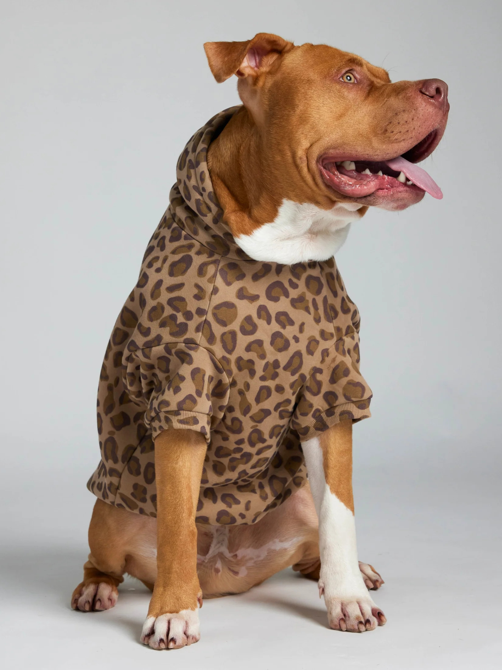 Comfrt Minimalist Paw Hoodie | Brown Leopard | M | Medium | Comfrt