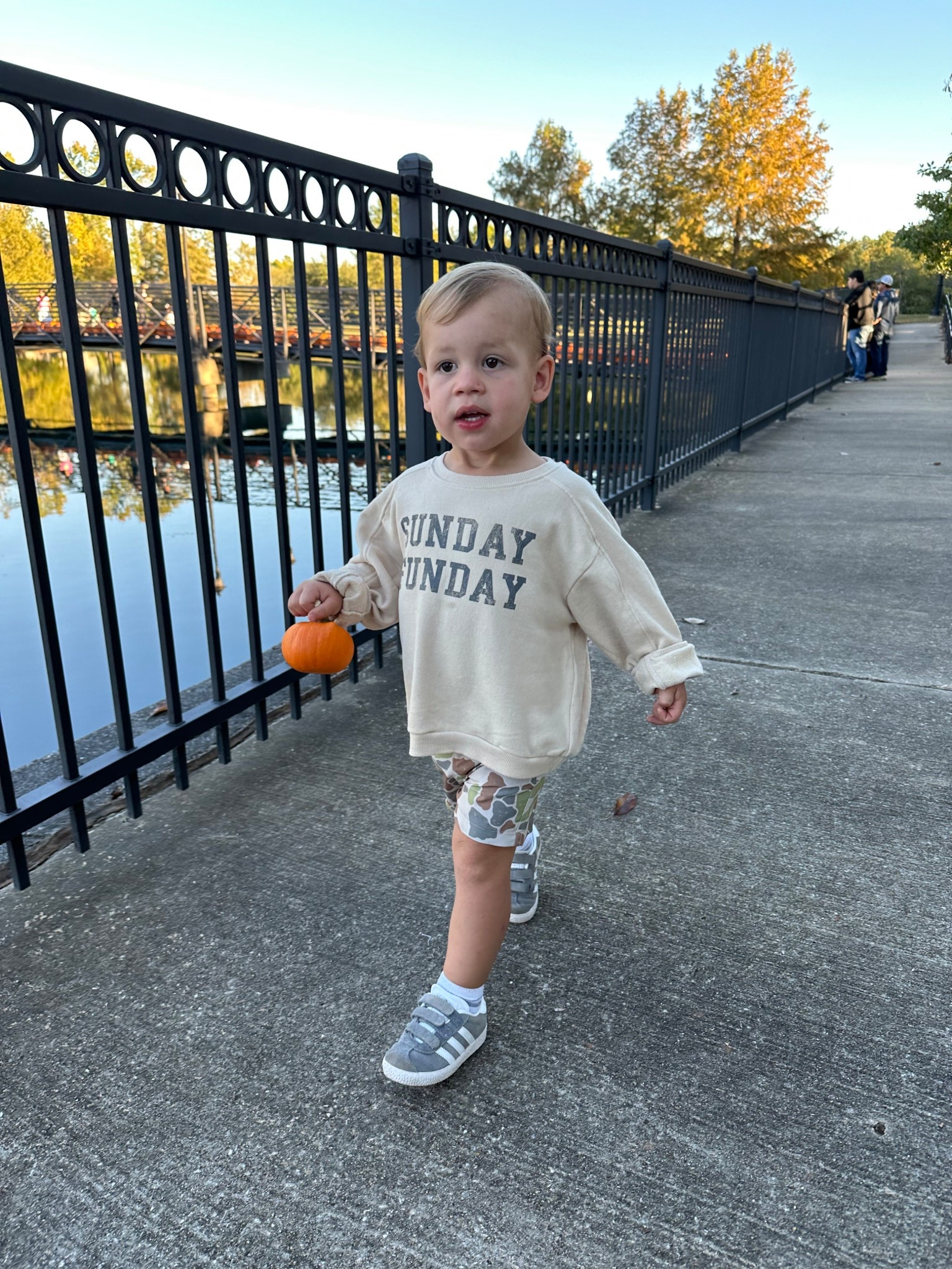 Toddler fall clothes, toddler boy clothes, fall clothes, fall haul 

#LTKBaby #LTKKids #LTKSeasonal