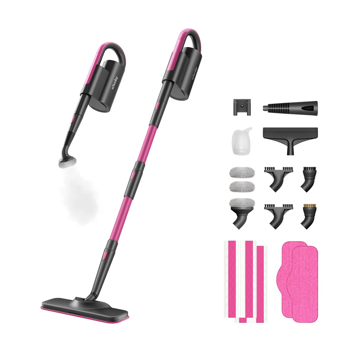 Schenley 19-in-1 Steam Mop Dual-Rod Design with Detachable Handheld Steamer for Hard Floors, Wall... | Wayfair North America